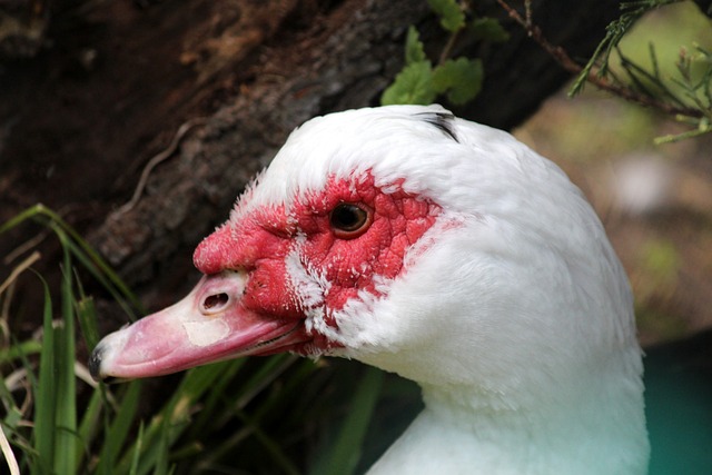 表现让人大 表现让人大