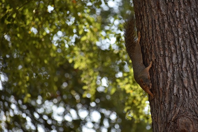 实际操作能 实际操作能