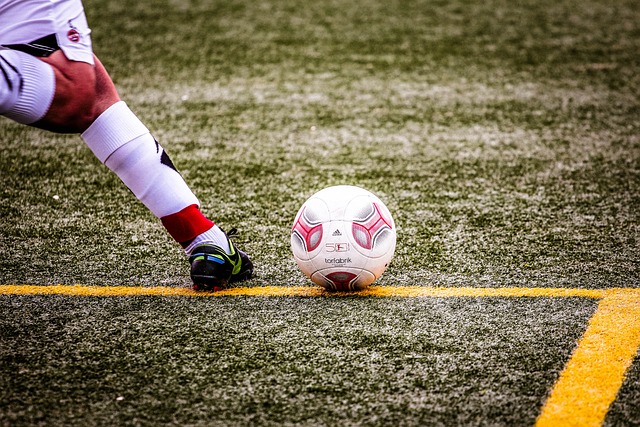 不仅保留了 不仅保留了