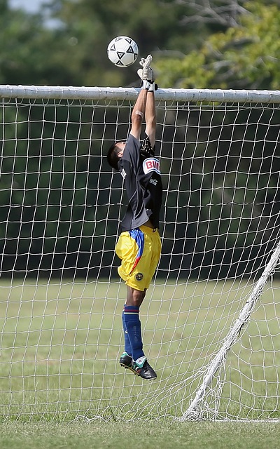 努力实现自 努力实现自