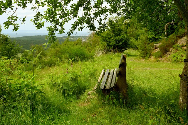 在其它國際 在其它國際