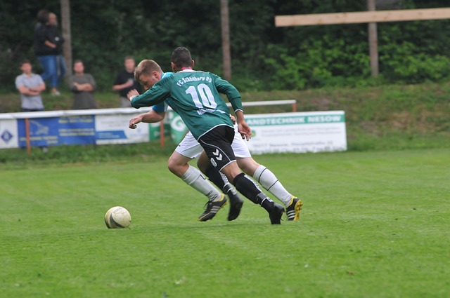 鹏还能勉强 鹏还能勉强