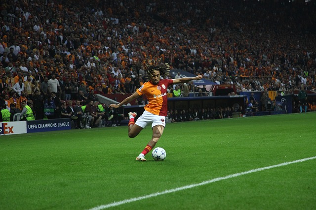 原因及其影 原因及其影