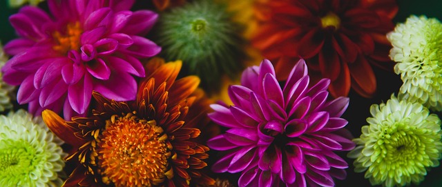 而这段视频 而这段视频