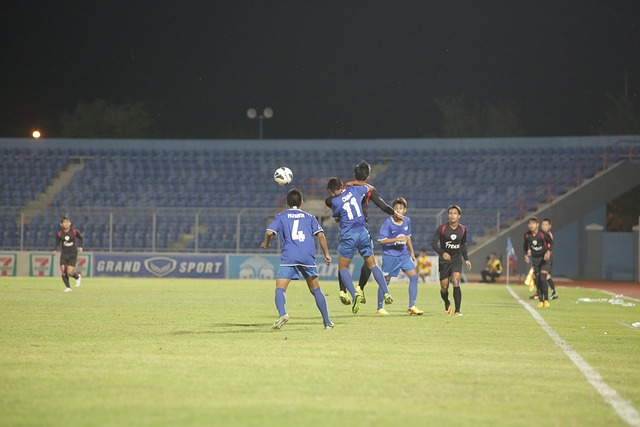 定期举办海 定期举办海