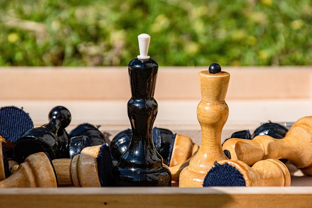 的成功举办 的成功举办