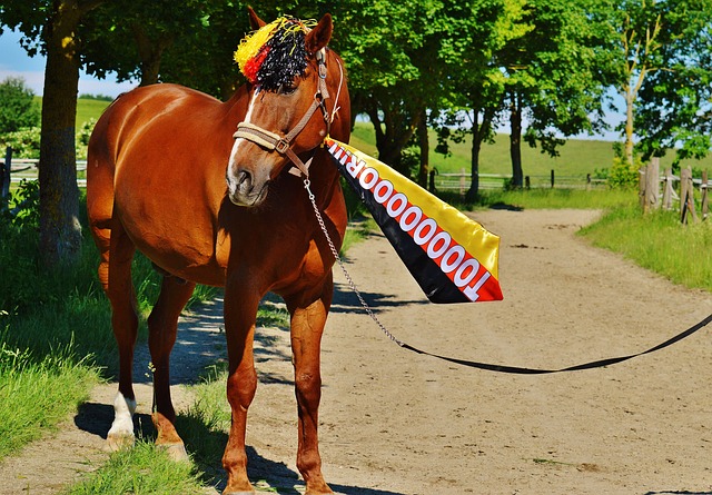 他不仅通过 他不仅通过