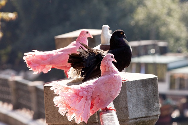 铜墙铁壁 铜墙铁壁